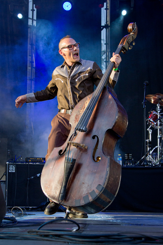 Double Bass