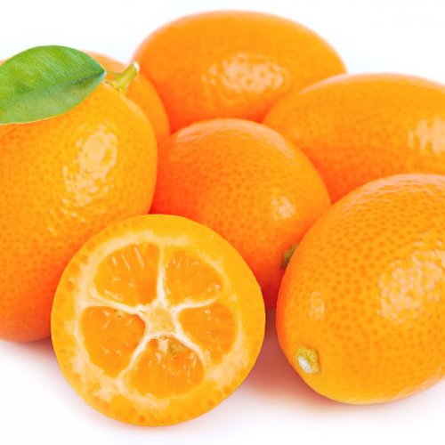 Kumquat